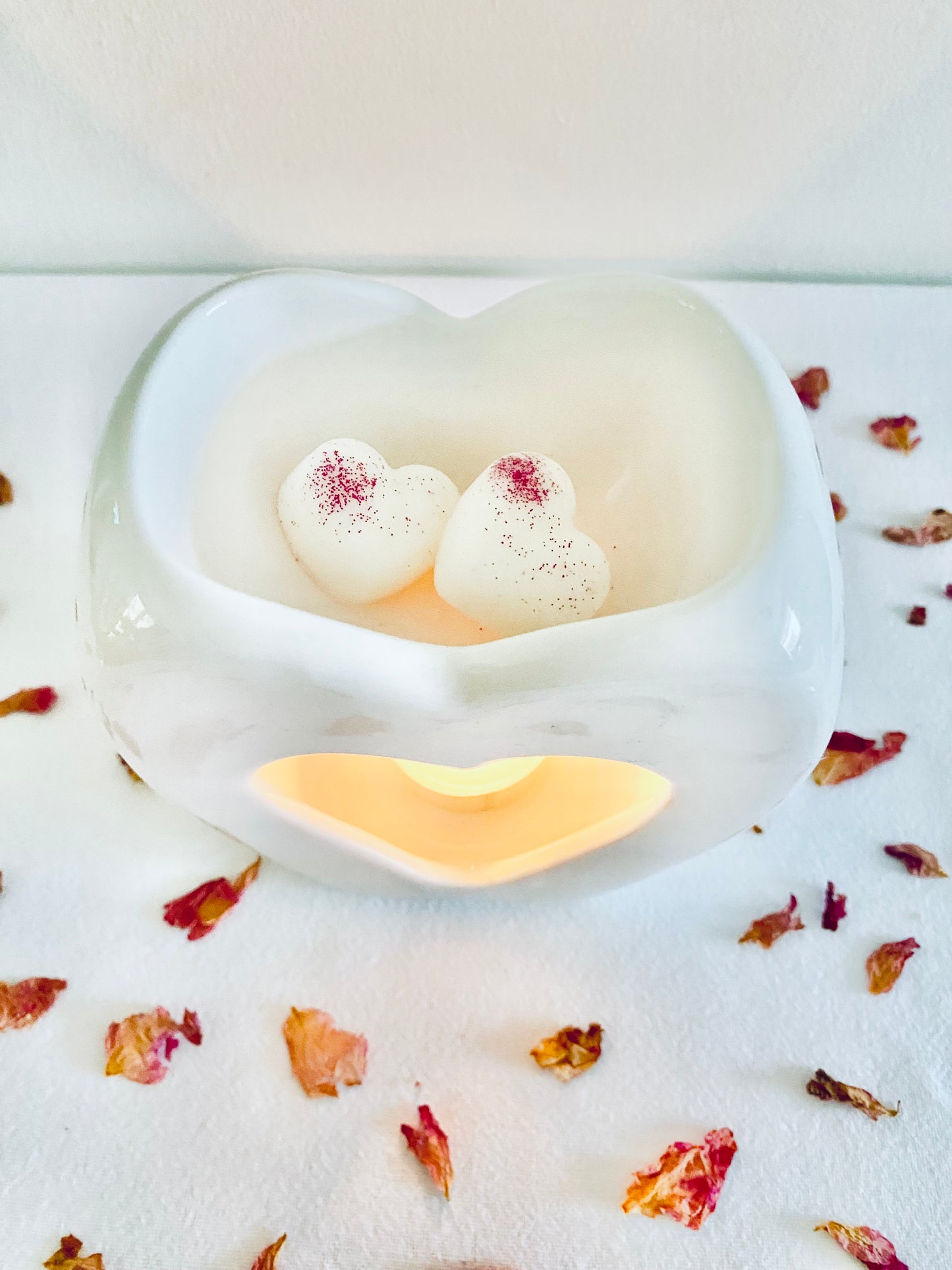 Burner & Melts Gift Set